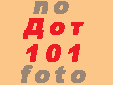 101.gif