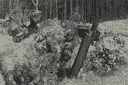 ДОТ 103