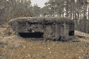 ДОТ 104