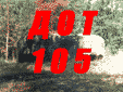 105.gif