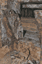 ДОТ 105