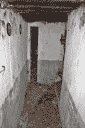 ДОТ 106