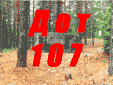 107.gif