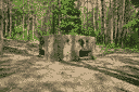 ДОТ 107