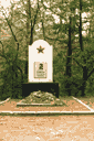 ДОТ 107